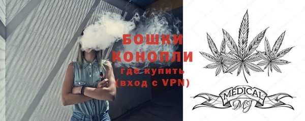 индика Богородск