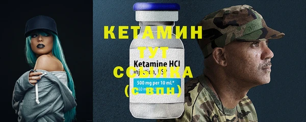 индика Богородск