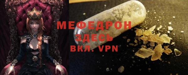 индика Богородск