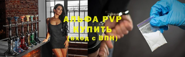 индика Богородск