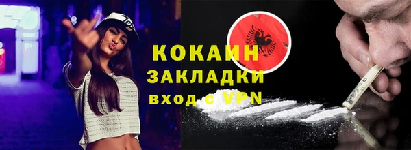 индика Богородск