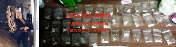 стафф Богданович