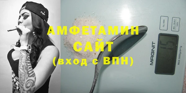 индика Богородск