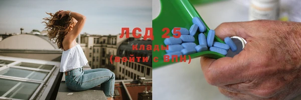стафф Богданович