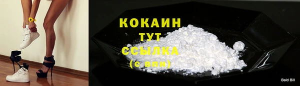 дмт Богородицк