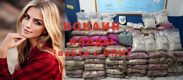 дмт Богородицк