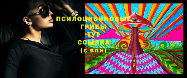 стафф Богданович