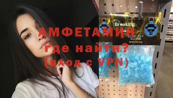 индика Богородск