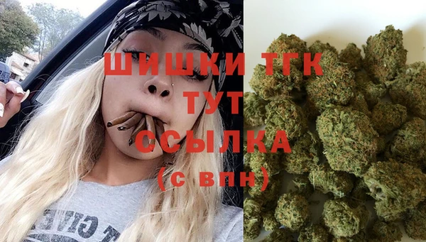 стафф Богданович
