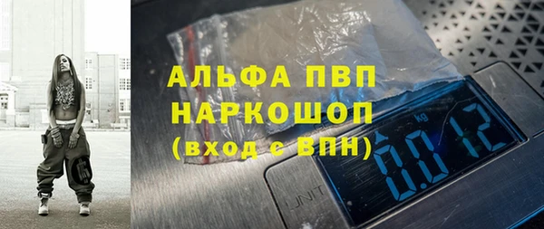 индика Богородск