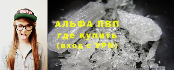 индика Богородск