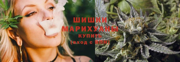 стафф Богданович