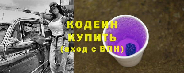 индика Богородск