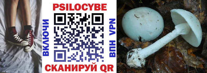Псилоцибиновые грибы мицелий  Химки 